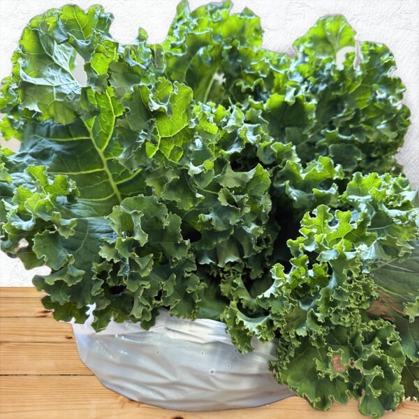 Green Kale