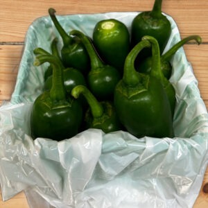 Jalapeño Peppers