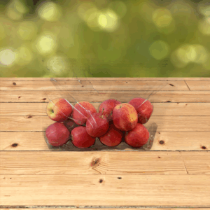 Gala Apples - Large Bag